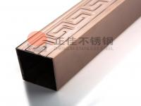 304彩色乐动全体育_乐动(中国)管逐渐成为家装的新宠，势头迅猛